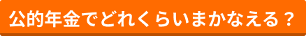 公的年金でどれくらいまかなえる？