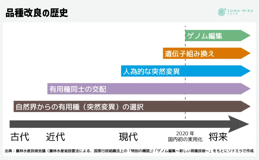 品種改良の歴史