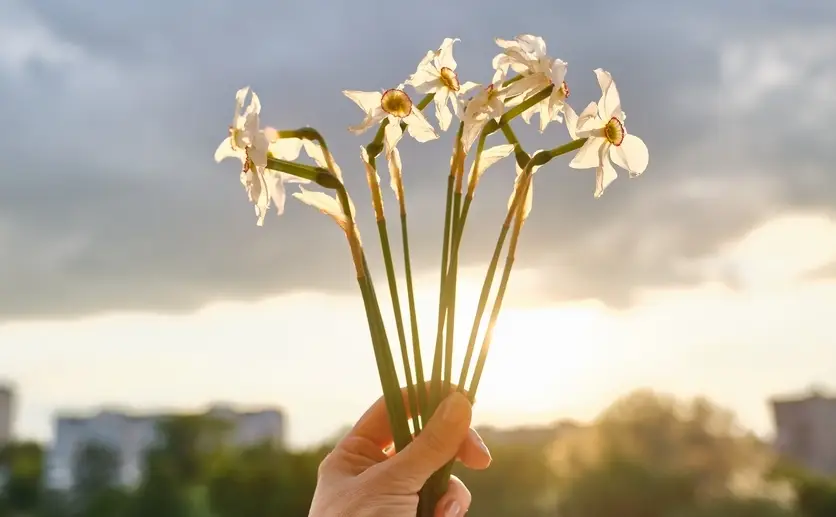 手に持った花