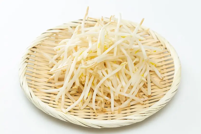 節約食材その4．圧倒的コスパの「もやし」