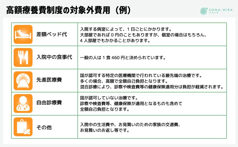 高額療養費制度の対象外費用（例）